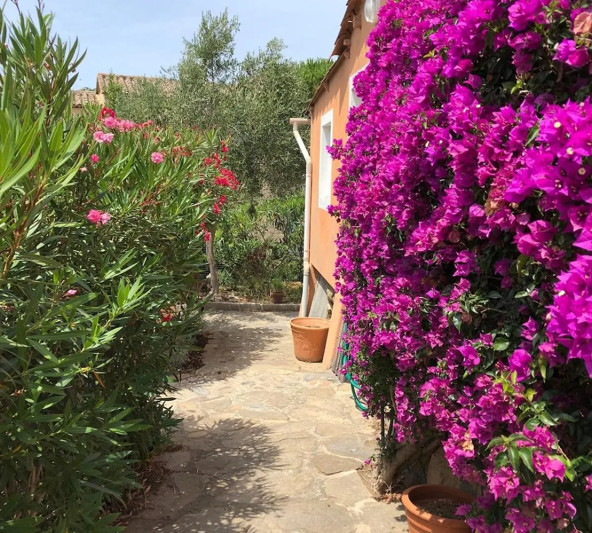 Maison Familiale Sur La Presqu'Ile De Giens Hyeres